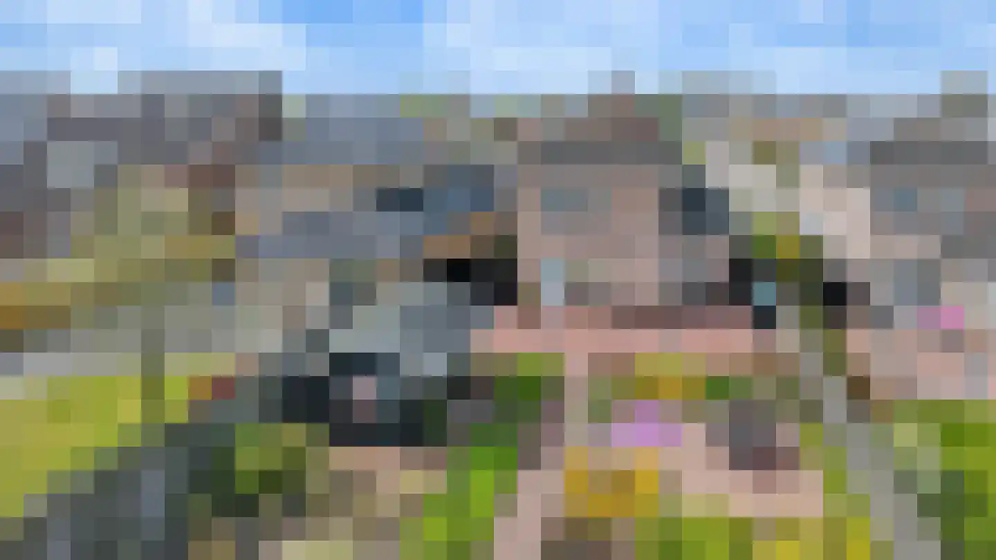 Meester Molstraat 5 Kruisland thumbnail 44