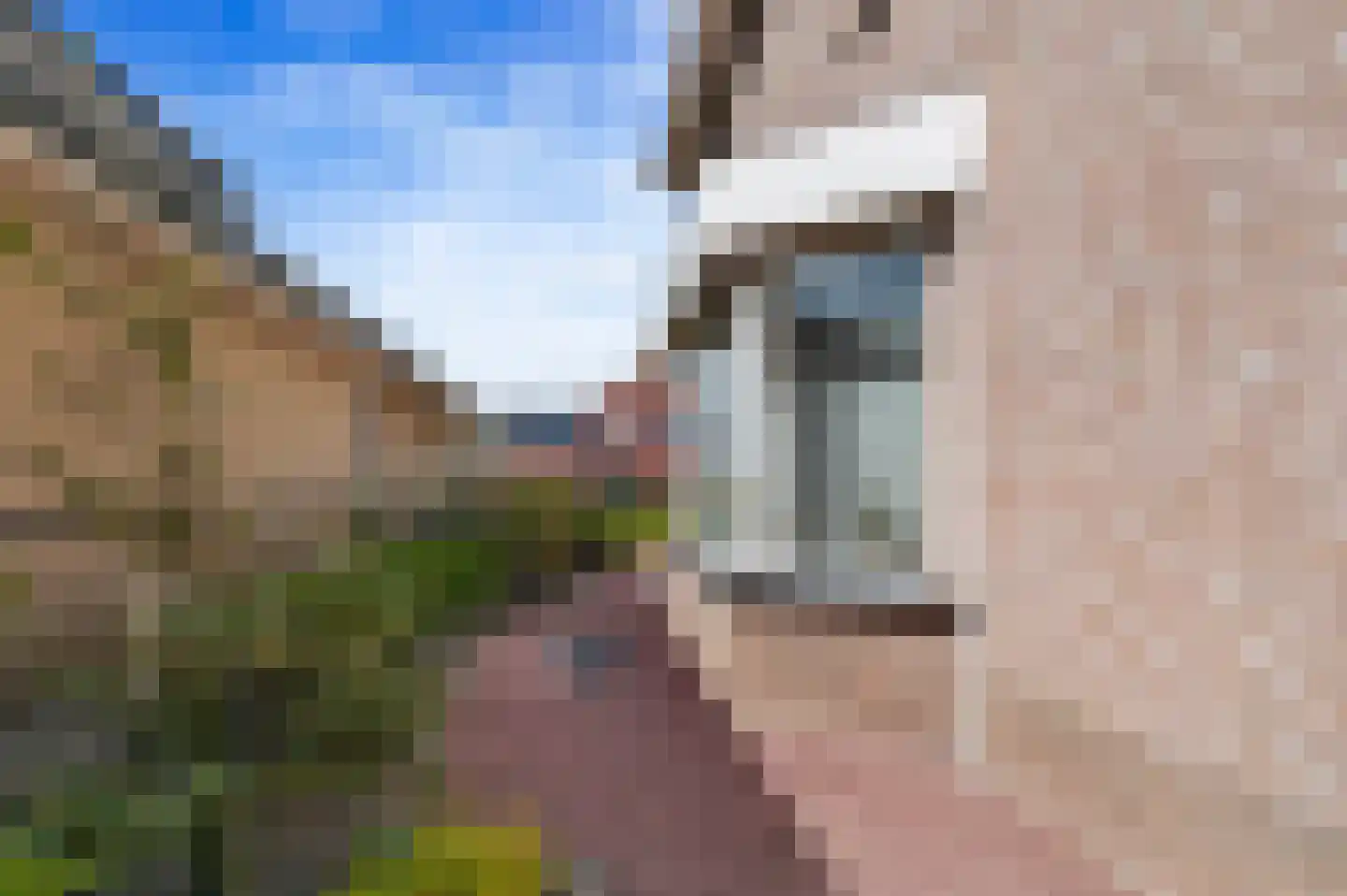 Meester Molstraat 5 Kruisland thumbnail 5