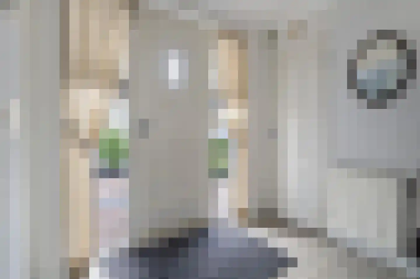 Meester Molstraat 5 Kruisland thumbnail 6