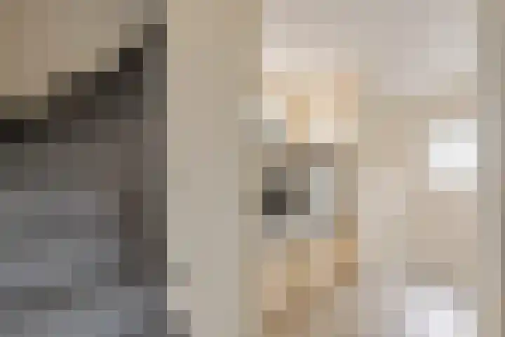 Meester Muldersstraat 1 Denekamp thumbnail 11
