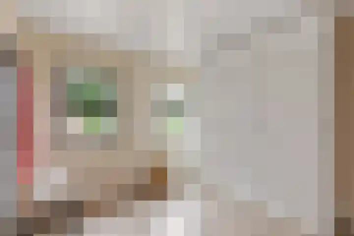 Meester Muldersstraat 1 Denekamp thumbnail 14