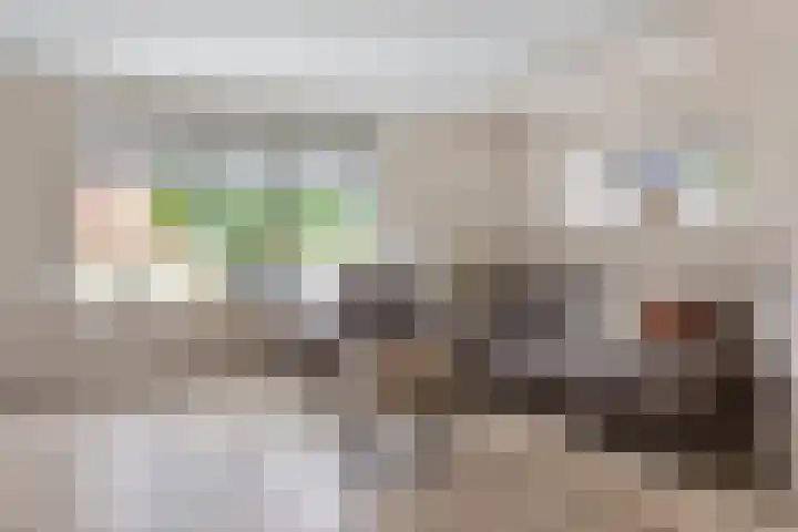 Meester Muldersstraat 1 Denekamp thumbnail 7