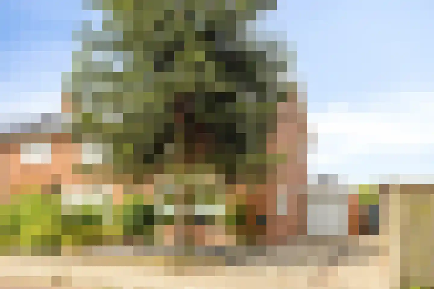 Meester Muldersstraat 57 Denekamp thumbnail 27