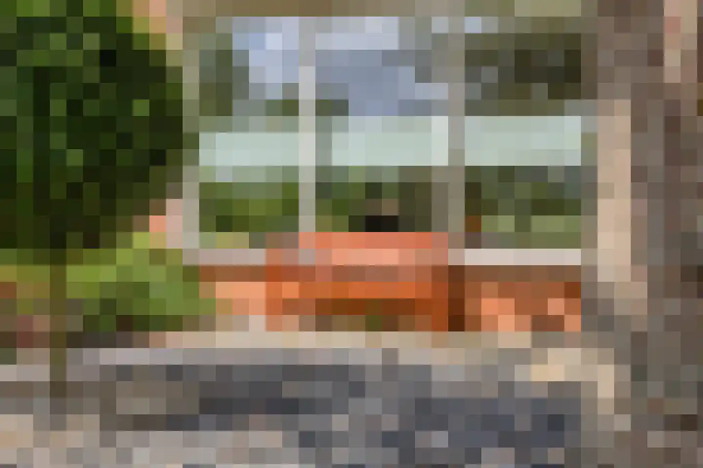 Meester Muldersstraat 57 Denekamp thumbnail 28