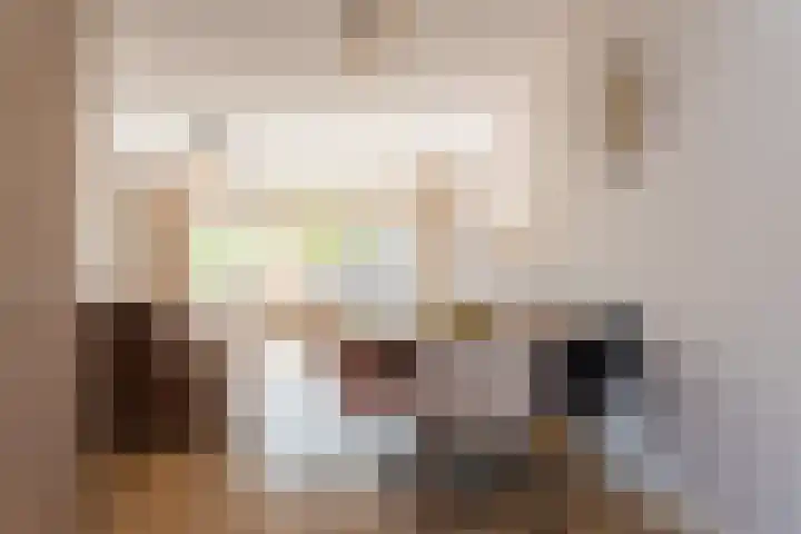 Meester N J van Riemsdijkstraat 16 Kesteren thumbnail 11