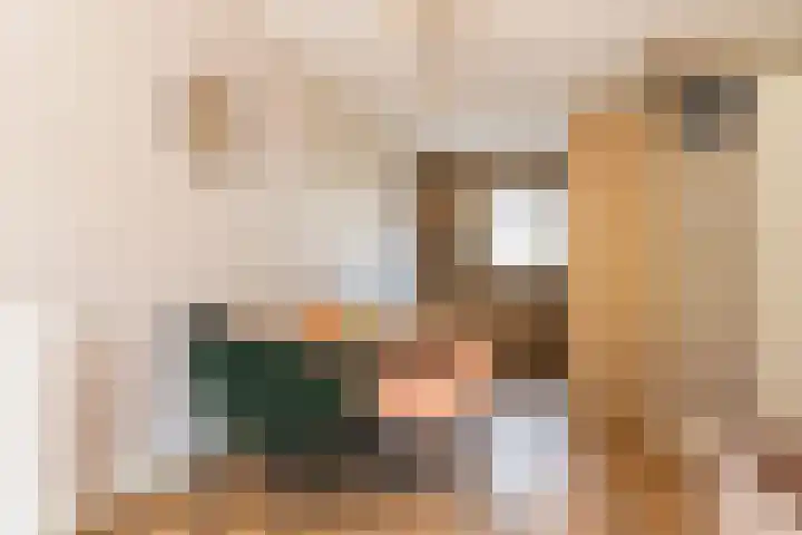 Meester N J van Riemsdijkstraat 16 Kesteren thumbnail 12