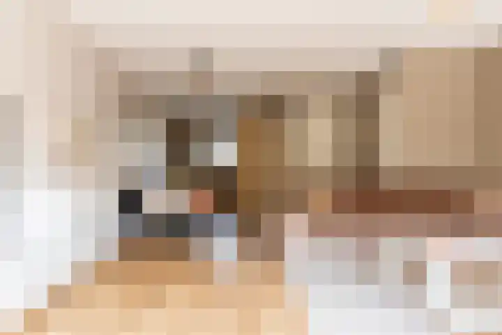 Meester N J van Riemsdijkstraat 16 Kesteren thumbnail 13