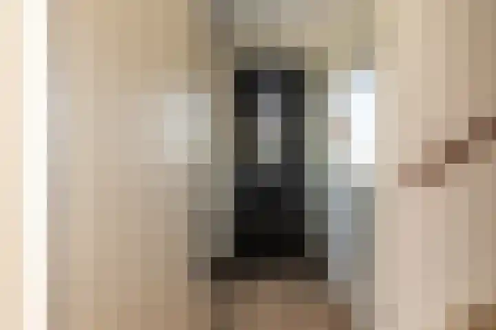 Meester N J van Riemsdijkstraat 16 Kesteren thumbnail 16