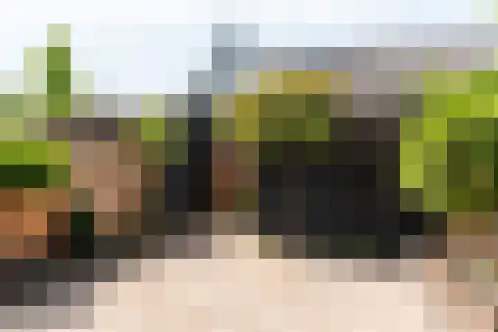 Meester N J van Riemsdijkstraat 16 Kesteren thumbnail 27