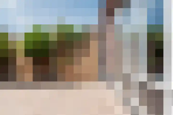 Meester N J van Riemsdijkstraat 16 Kesteren thumbnail 29