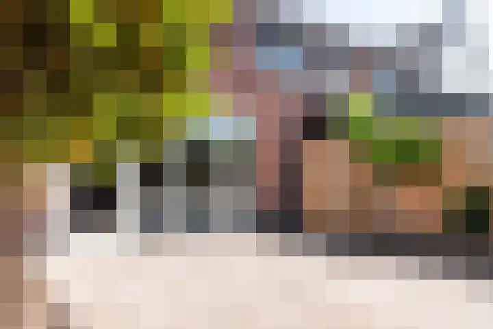 Meester N J van Riemsdijkstraat 16 Kesteren thumbnail 30