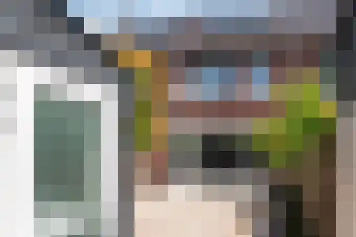Meester N J van Riemsdijkstraat 16 Kesteren thumbnail 31