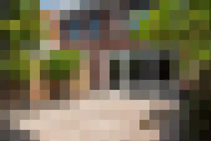 Meester N J van Riemsdijkstraat 16 Kesteren thumbnail 32
