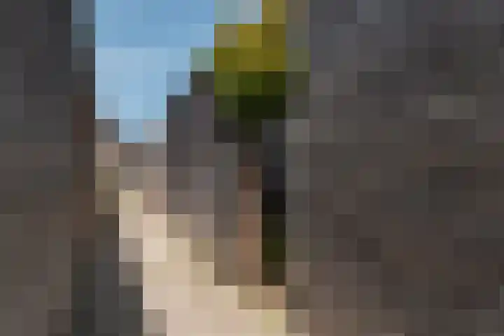 Meester N J van Riemsdijkstraat 16 Kesteren thumbnail 33