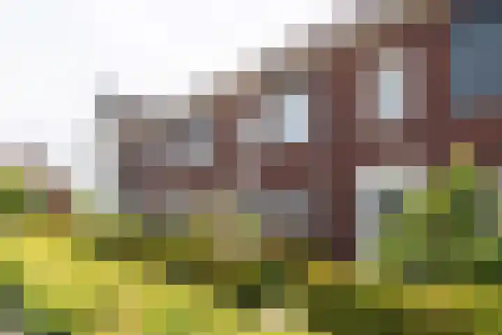 Meester N J van Riemsdijkstraat 16 Kesteren thumbnail 35