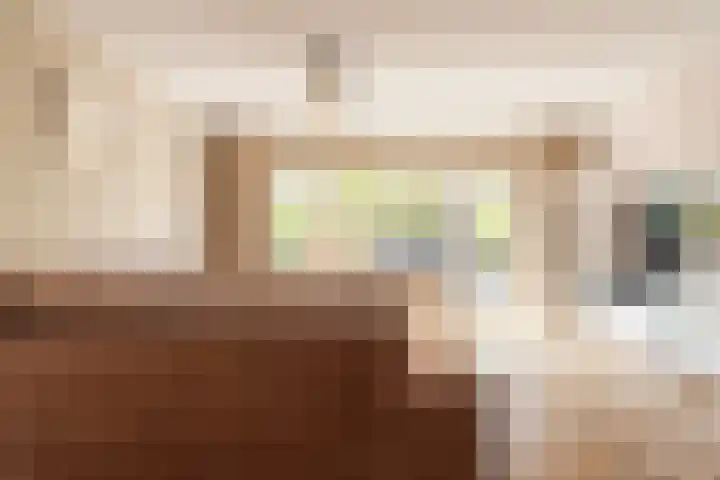 Meester N J van Riemsdijkstraat 16 Kesteren thumbnail 37