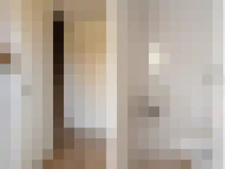Meester N J van Riemsdijkstraat 16 Kesteren thumbnail 41