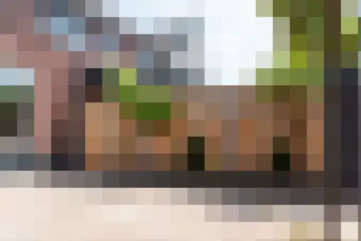 Meester N J van Riemsdijkstraat 16 Kesteren thumbnail 50