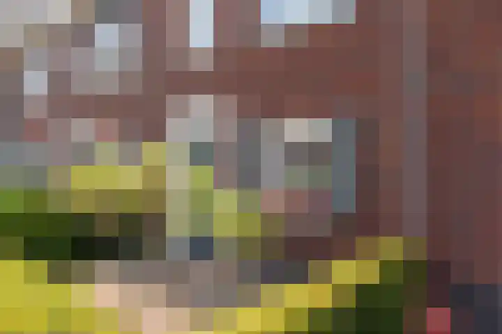 Meester N J van Riemsdijkstraat 16 Kesteren thumbnail 6