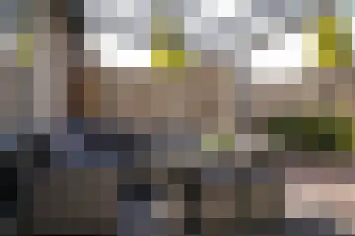 Meester N J van Riemsdijkstraat 18 Kesteren thumbnail 27