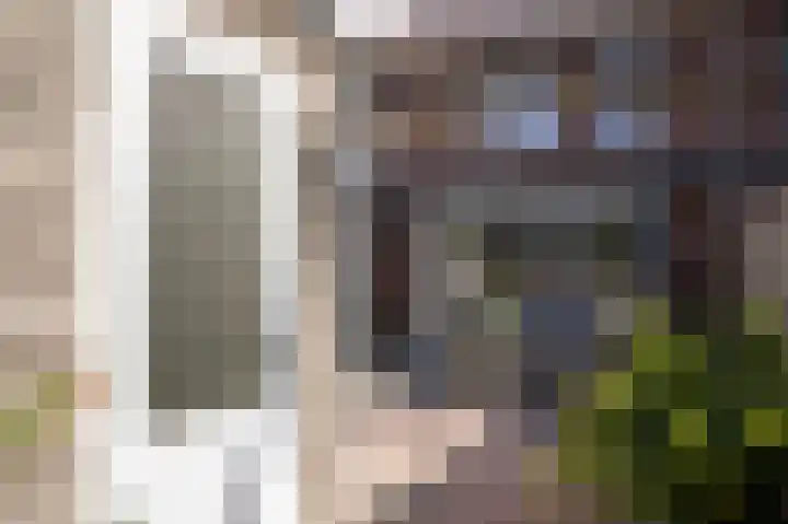 Meester N J van Riemsdijkstraat 18 Kesteren thumbnail 31