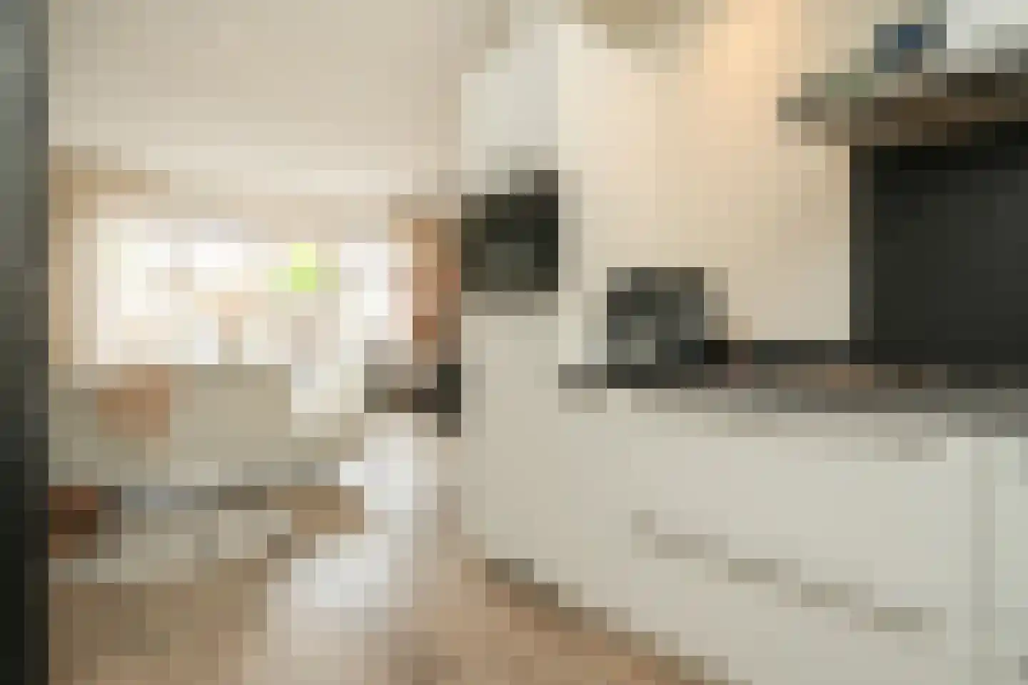 Meester N J van Riemsdijkstraat 8 Kesteren thumbnail 15