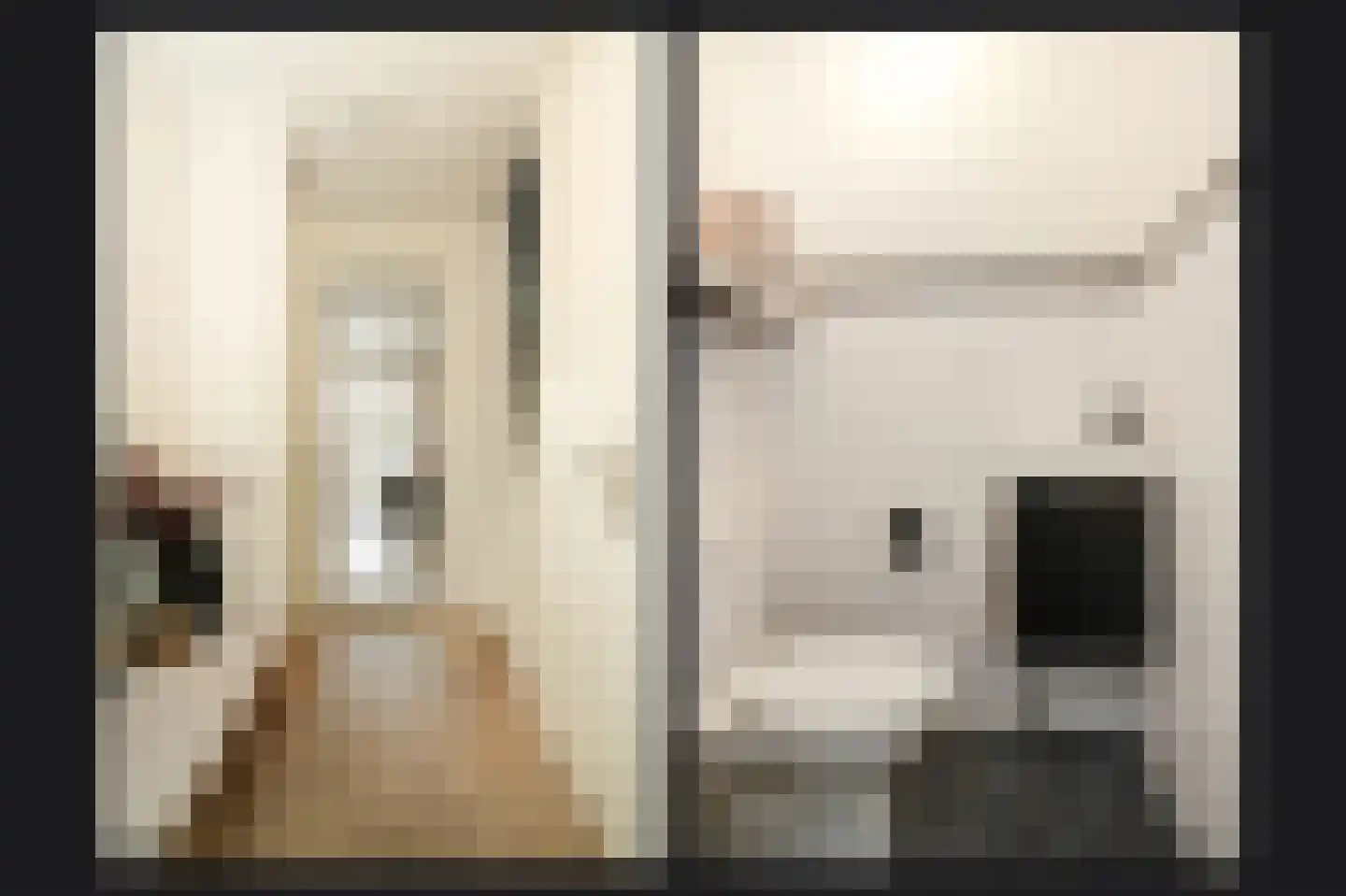 Meester N J van Riemsdijkstraat 8 Kesteren thumbnail 16