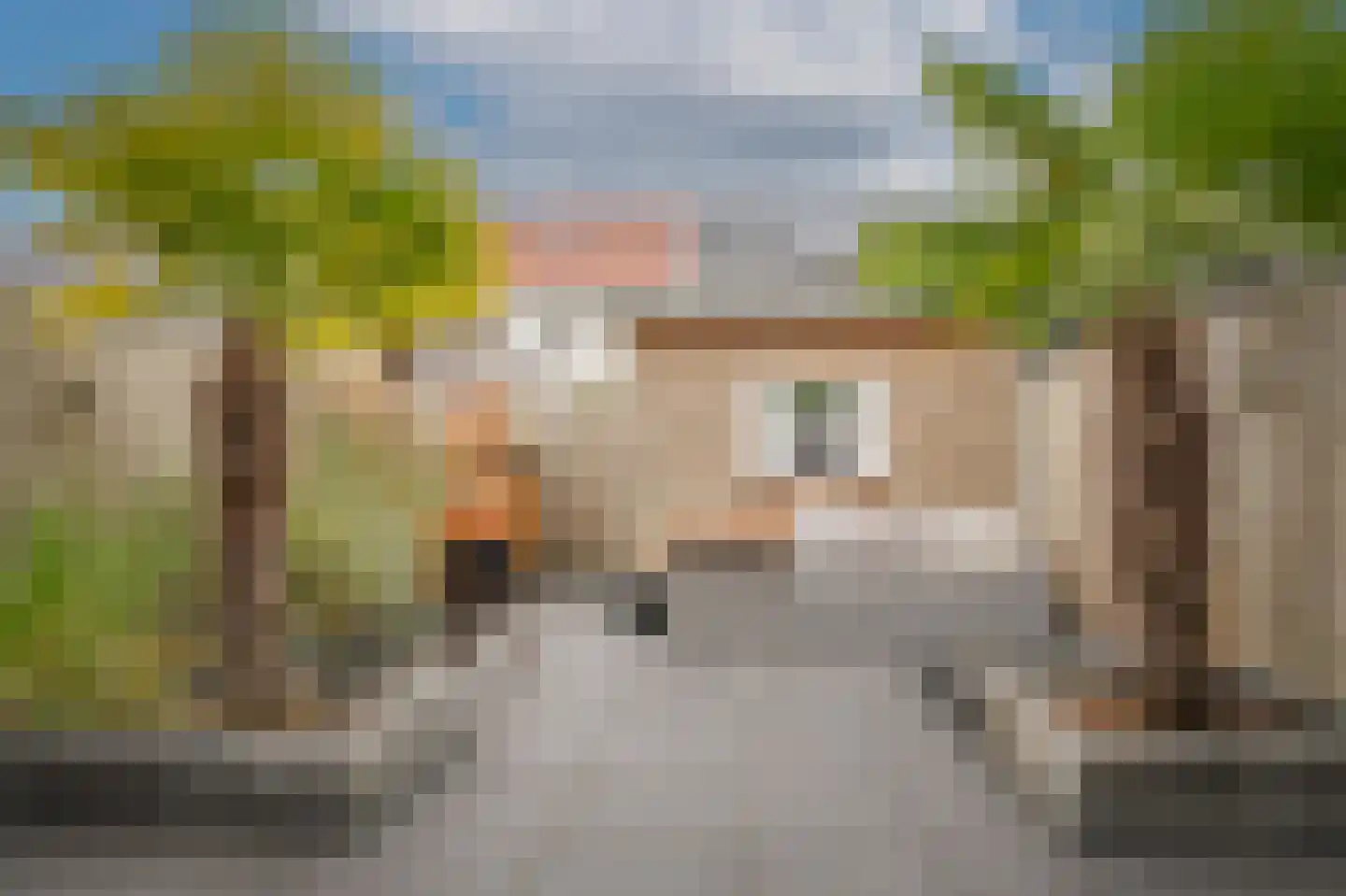 Meester N J van Riemsdijkstraat 8 Kesteren thumbnail 27