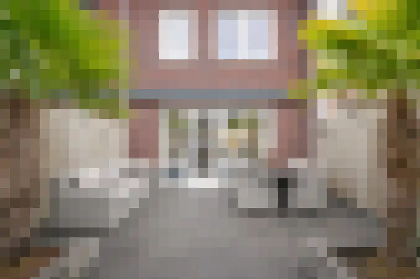 Meester N J van Riemsdijkstraat 8 Kesteren thumbnail 28