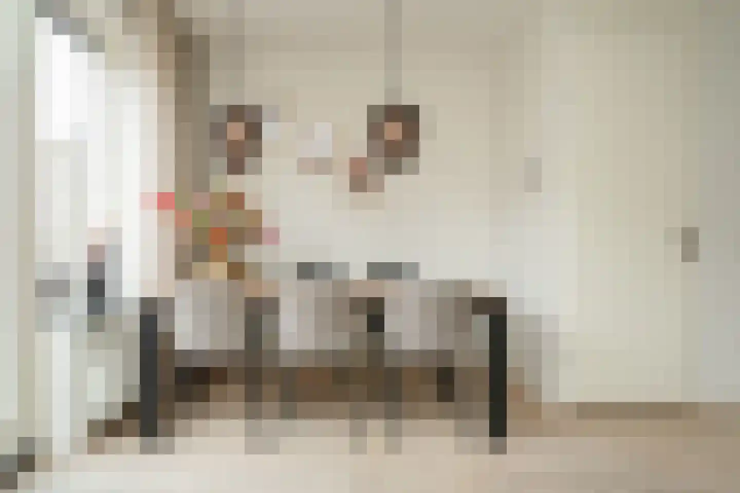 Meester N J van Riemsdijkstraat 8 Kesteren thumbnail 9