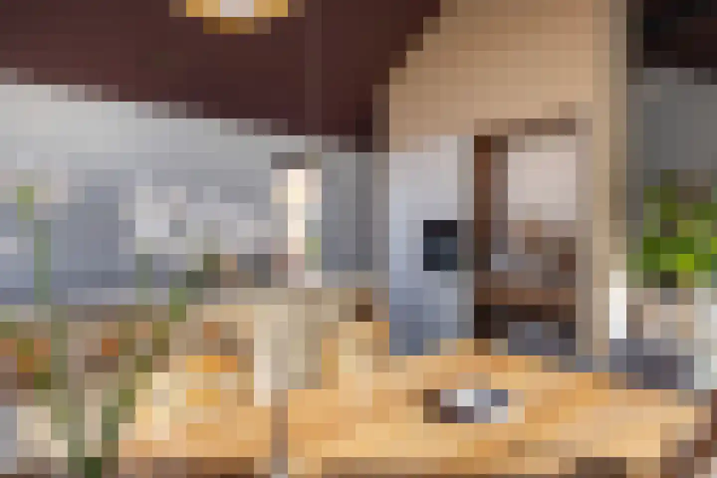 Meester Nelissenstraat 12 Beltrum thumbnail 10