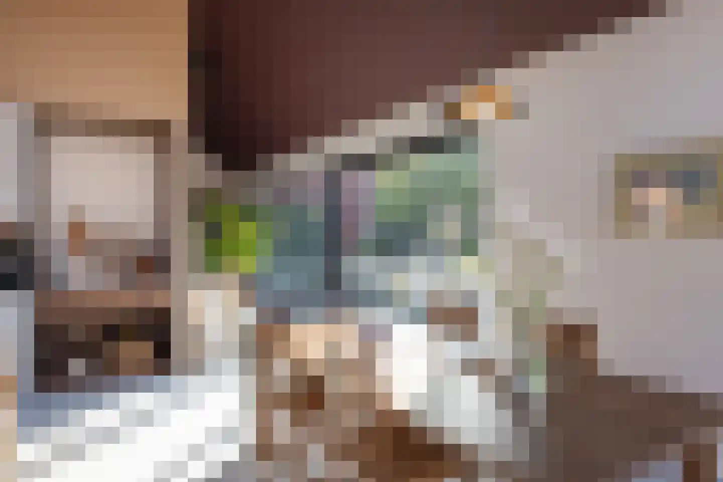Meester Nelissenstraat 12 Beltrum thumbnail 14