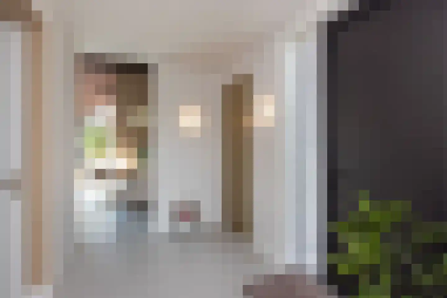 Meester Nelissenstraat 12 Beltrum thumbnail 17