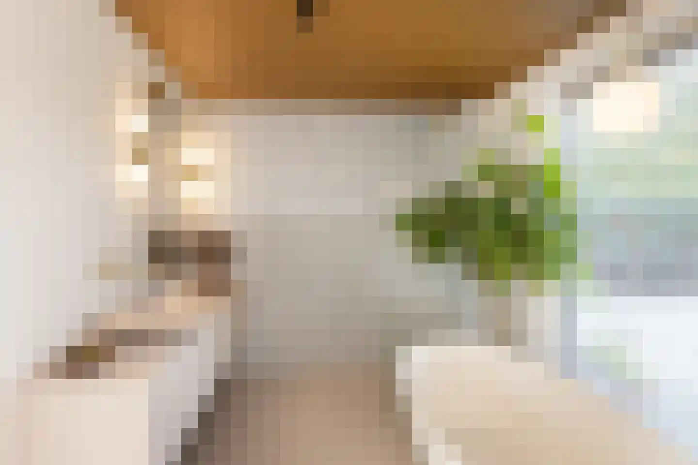 Meester Nelissenstraat 12 Beltrum thumbnail 22