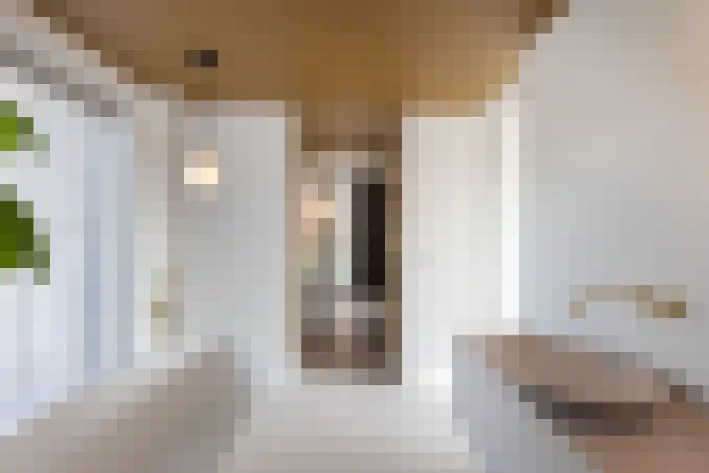 Meester Nelissenstraat 12 Beltrum thumbnail 23
