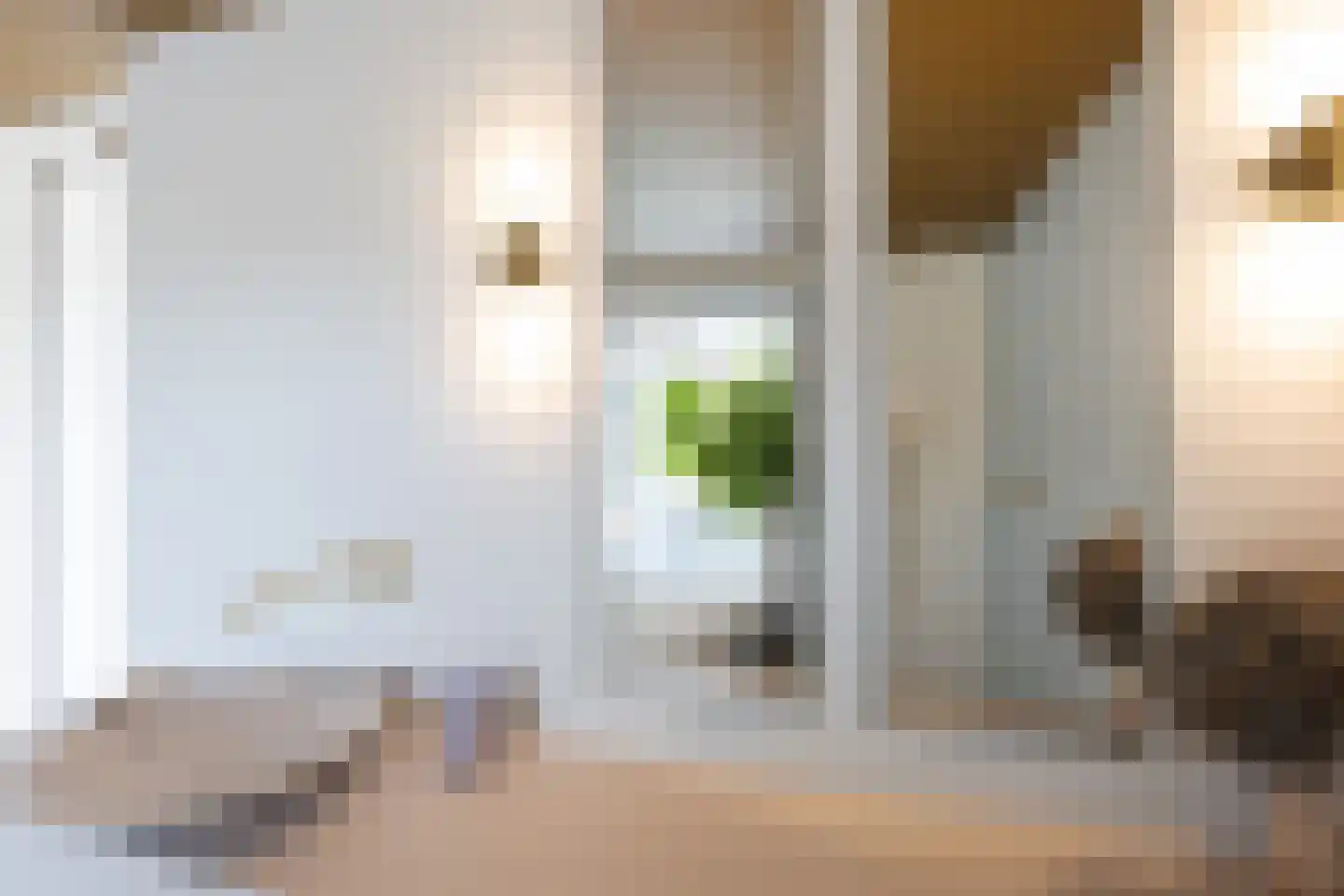 Meester Nelissenstraat 12 Beltrum thumbnail 24