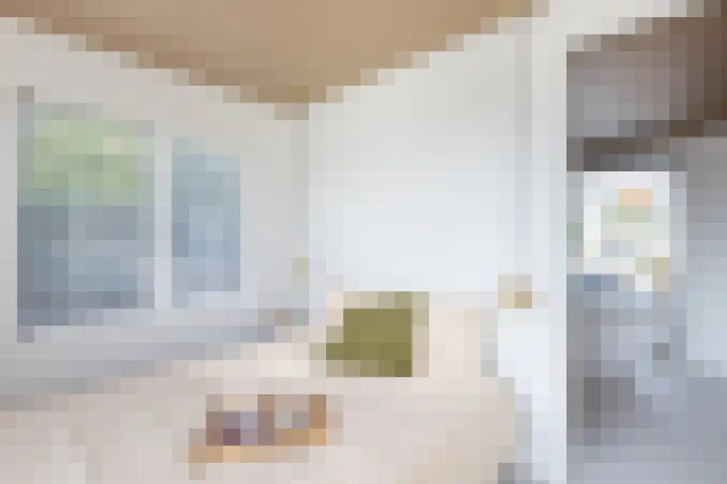 Meester Nelissenstraat 12 Beltrum thumbnail 26