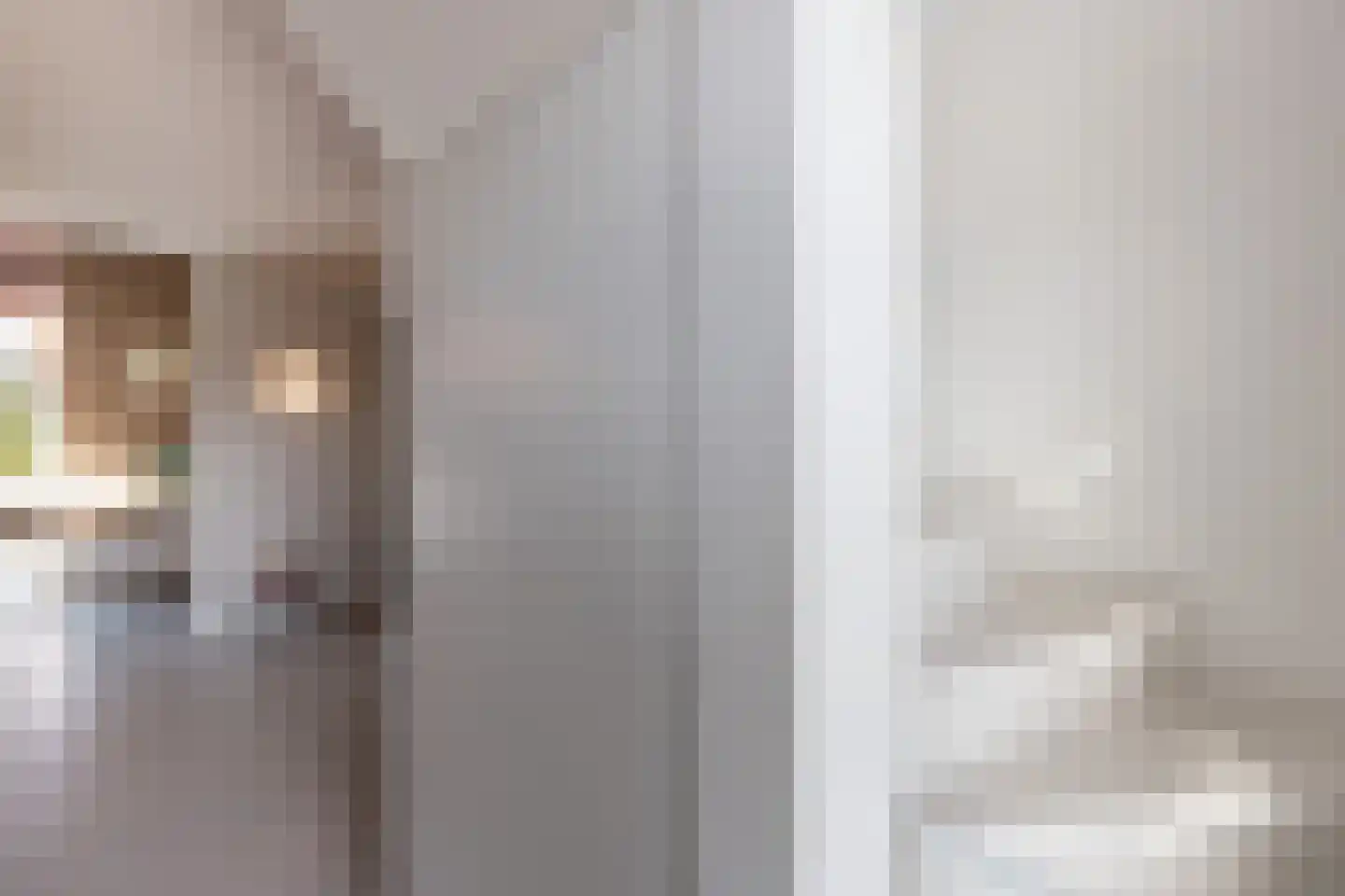 Meester Nelissenstraat 12 Beltrum thumbnail 28