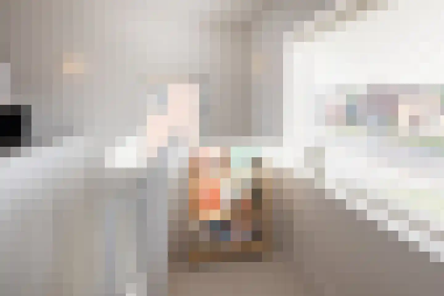 Meester Nelissenstraat 12 Beltrum thumbnail 32