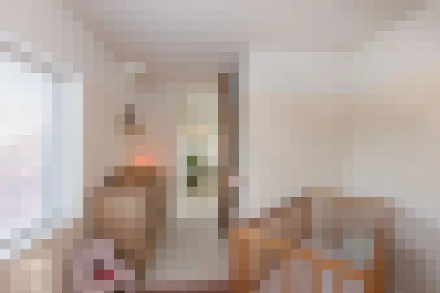 Meester Nelissenstraat 12 Beltrum thumbnail 33