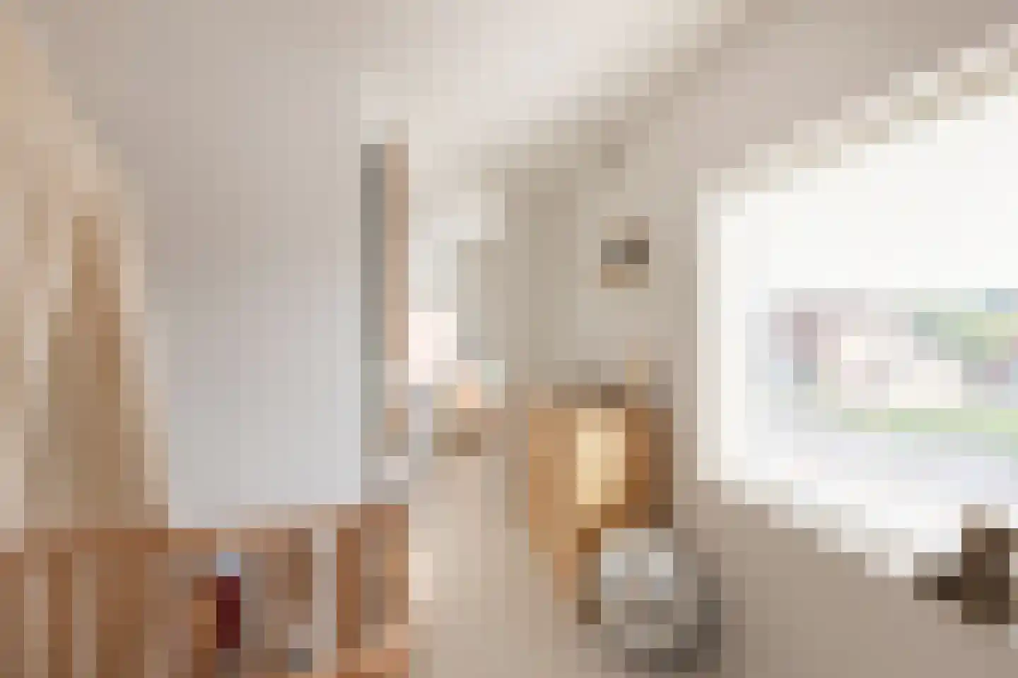 Meester Nelissenstraat 12 Beltrum thumbnail 37