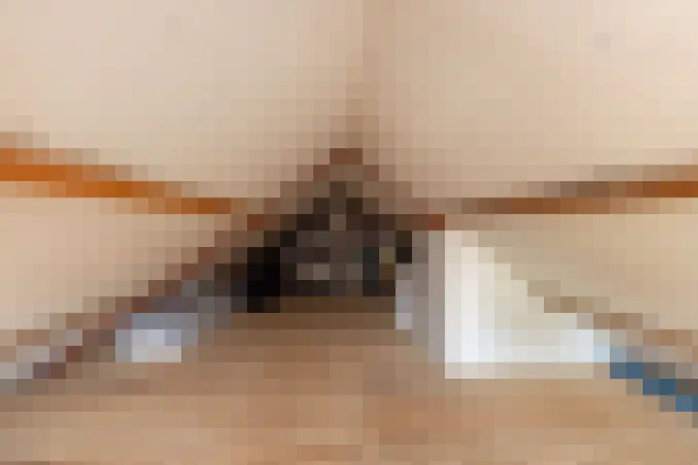 Meester Nelissenstraat 12 Beltrum thumbnail 38