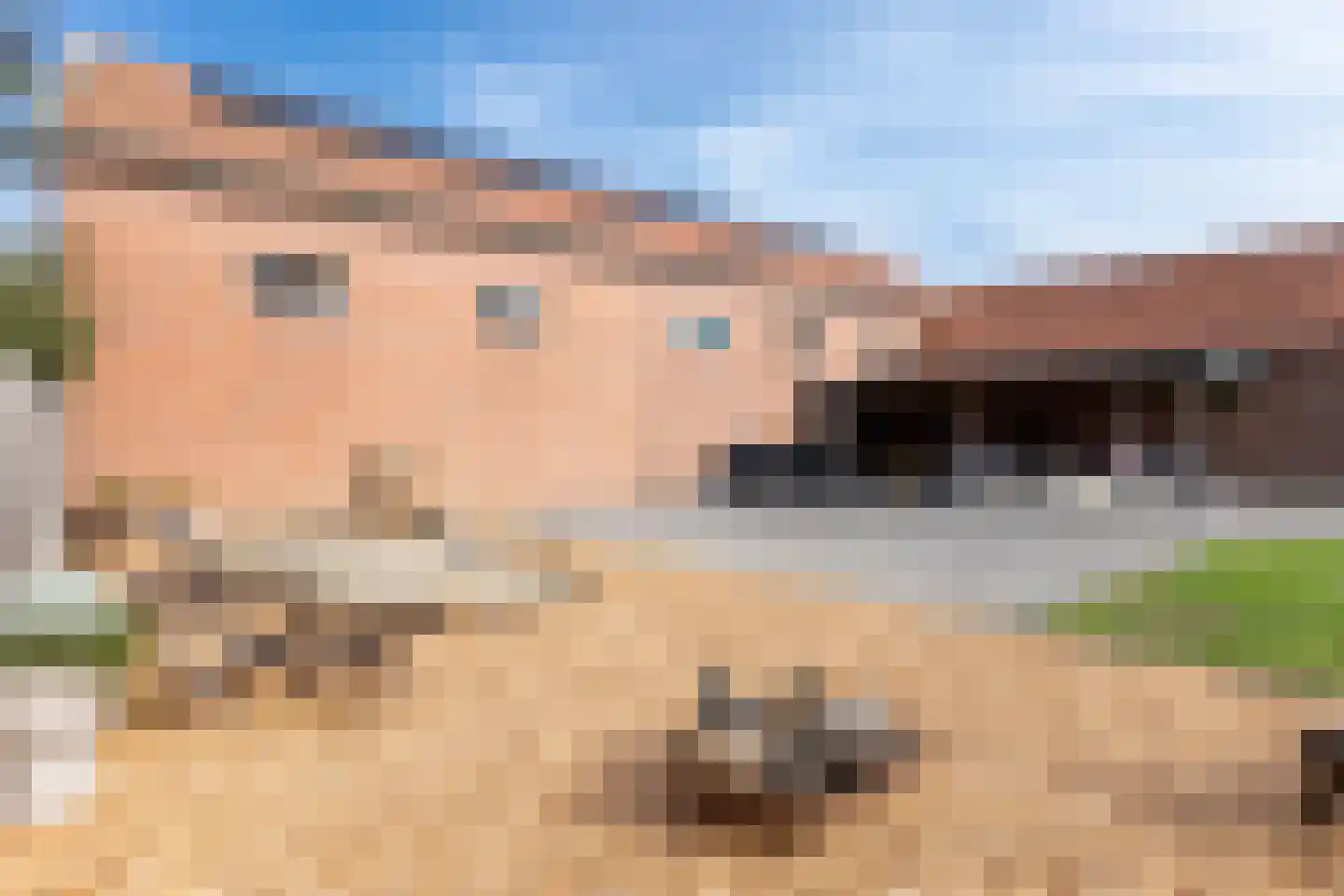 Meester Nelissenstraat 12 Beltrum thumbnail 47