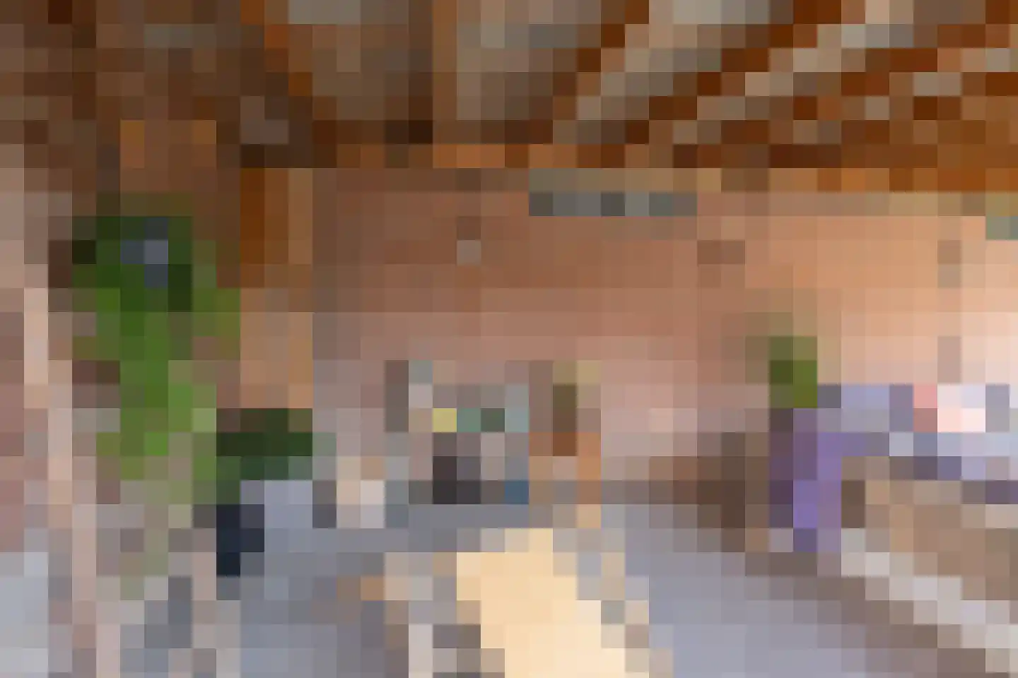 Meester Nelissenstraat 12 Beltrum thumbnail 48