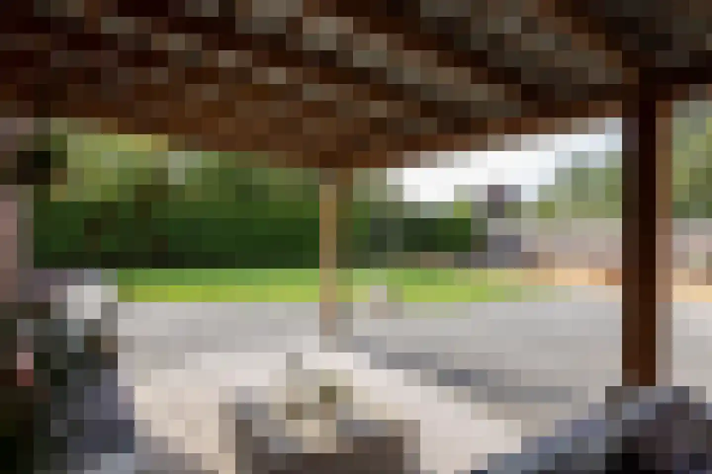 Meester Nelissenstraat 12 Beltrum thumbnail 49