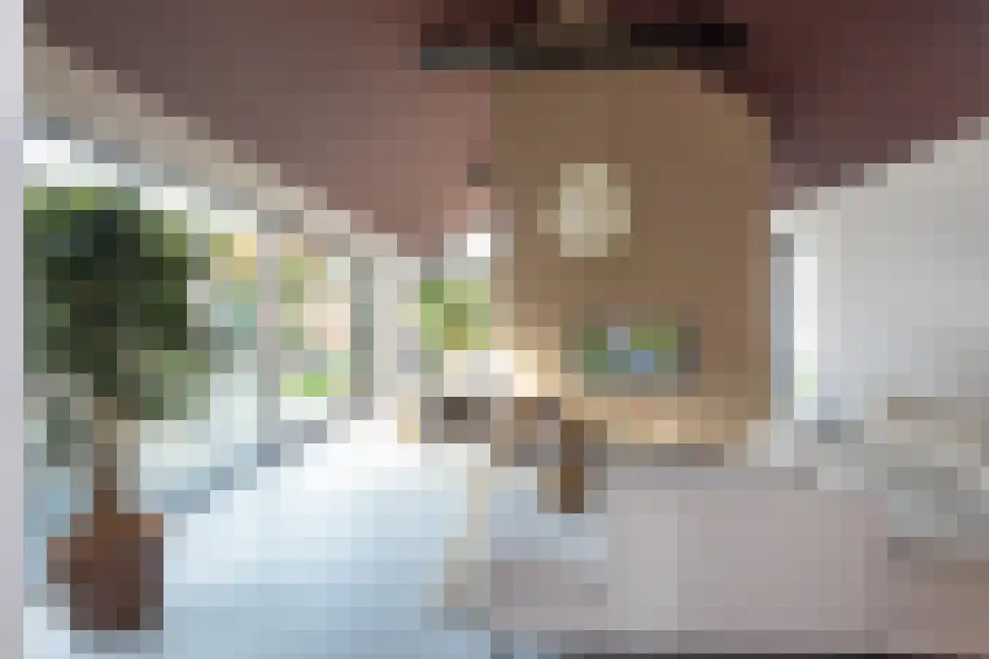 Meester Nelissenstraat 12 Beltrum thumbnail 6