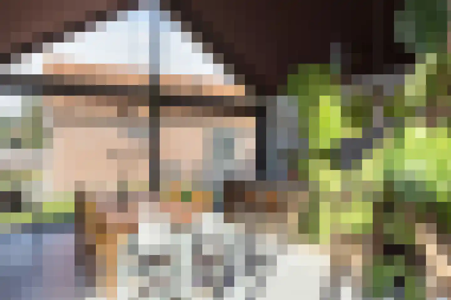 Meester Nelissenstraat 12 Beltrum thumbnail 9