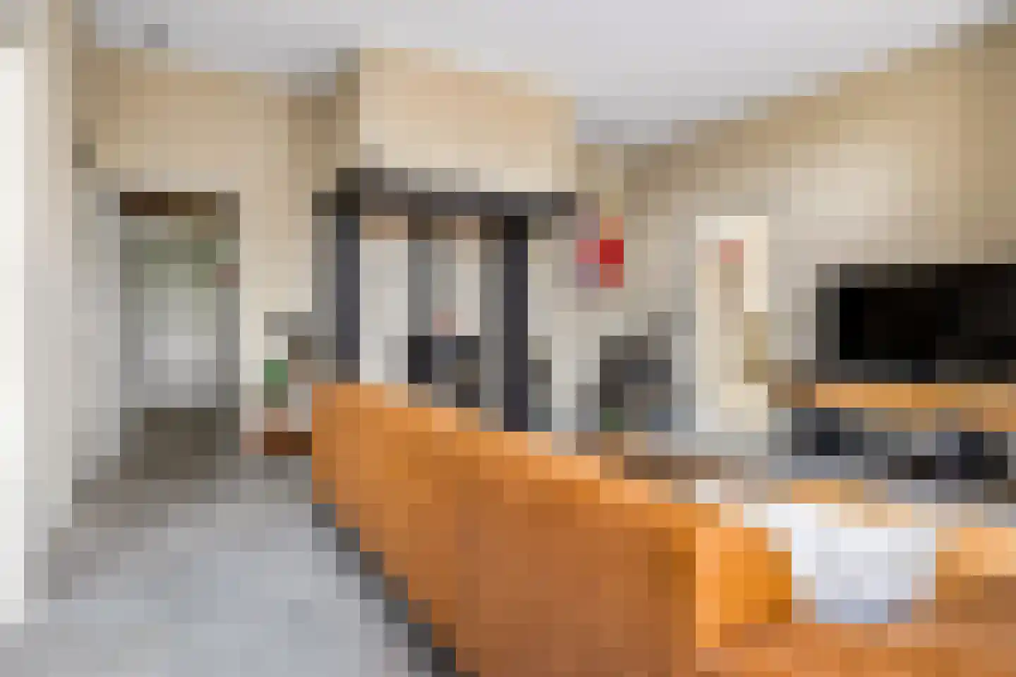 Meester Nelissenstraat 17 Beltrum thumbnail 13