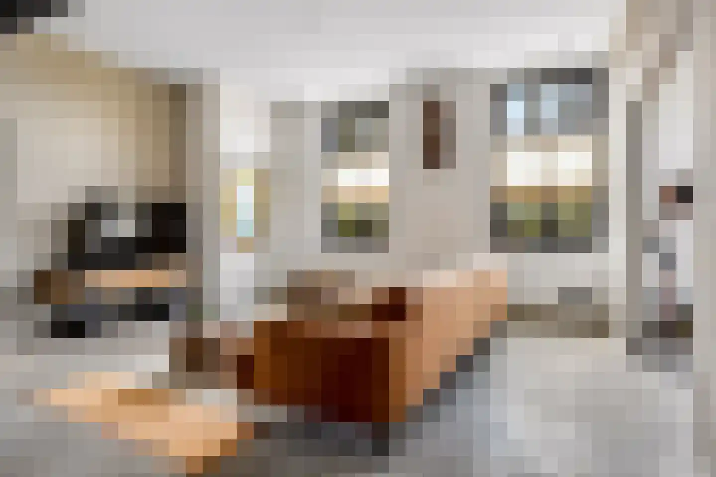 Meester Nelissenstraat 17 Beltrum thumbnail 14