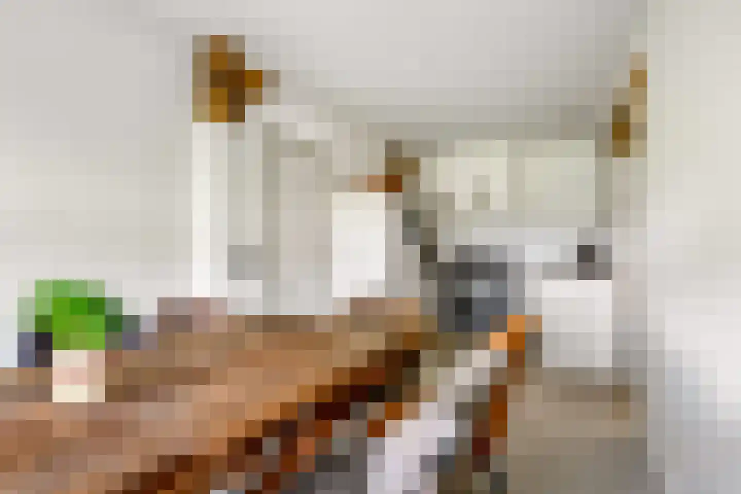 Meester Nelissenstraat 17 Beltrum thumbnail 17